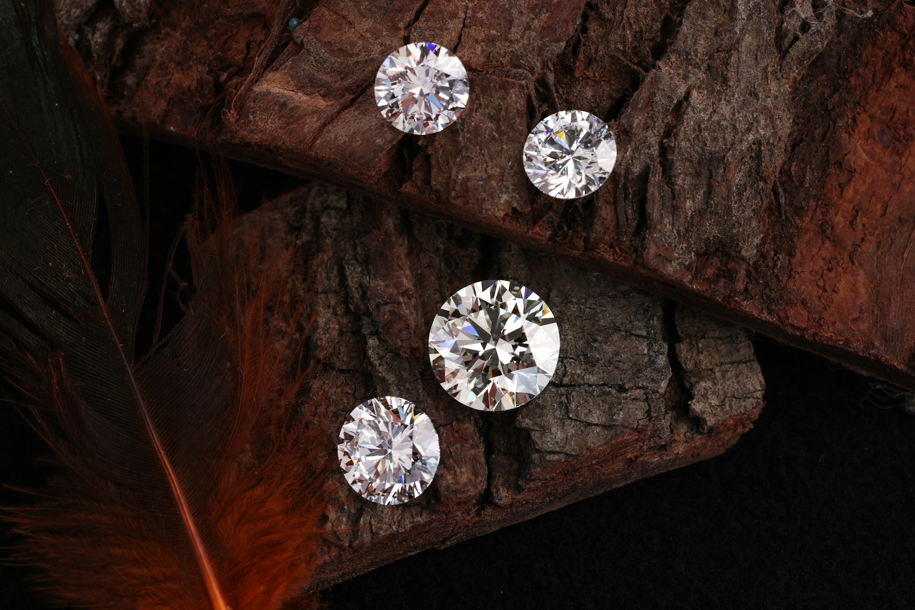 Four round brilliant diamonds of different sizes on dark bark.