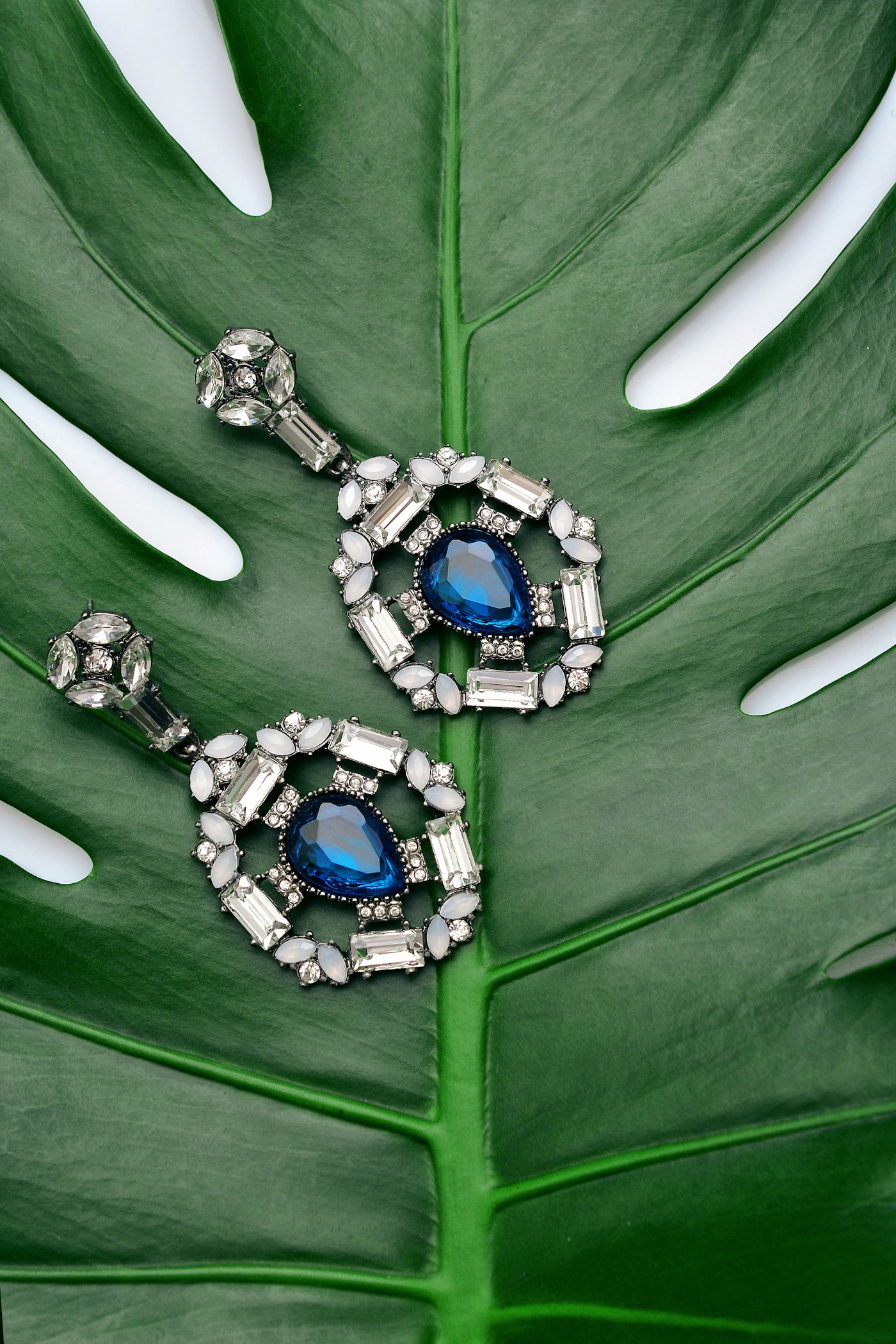 Blue fashion earrings on a green leaf.